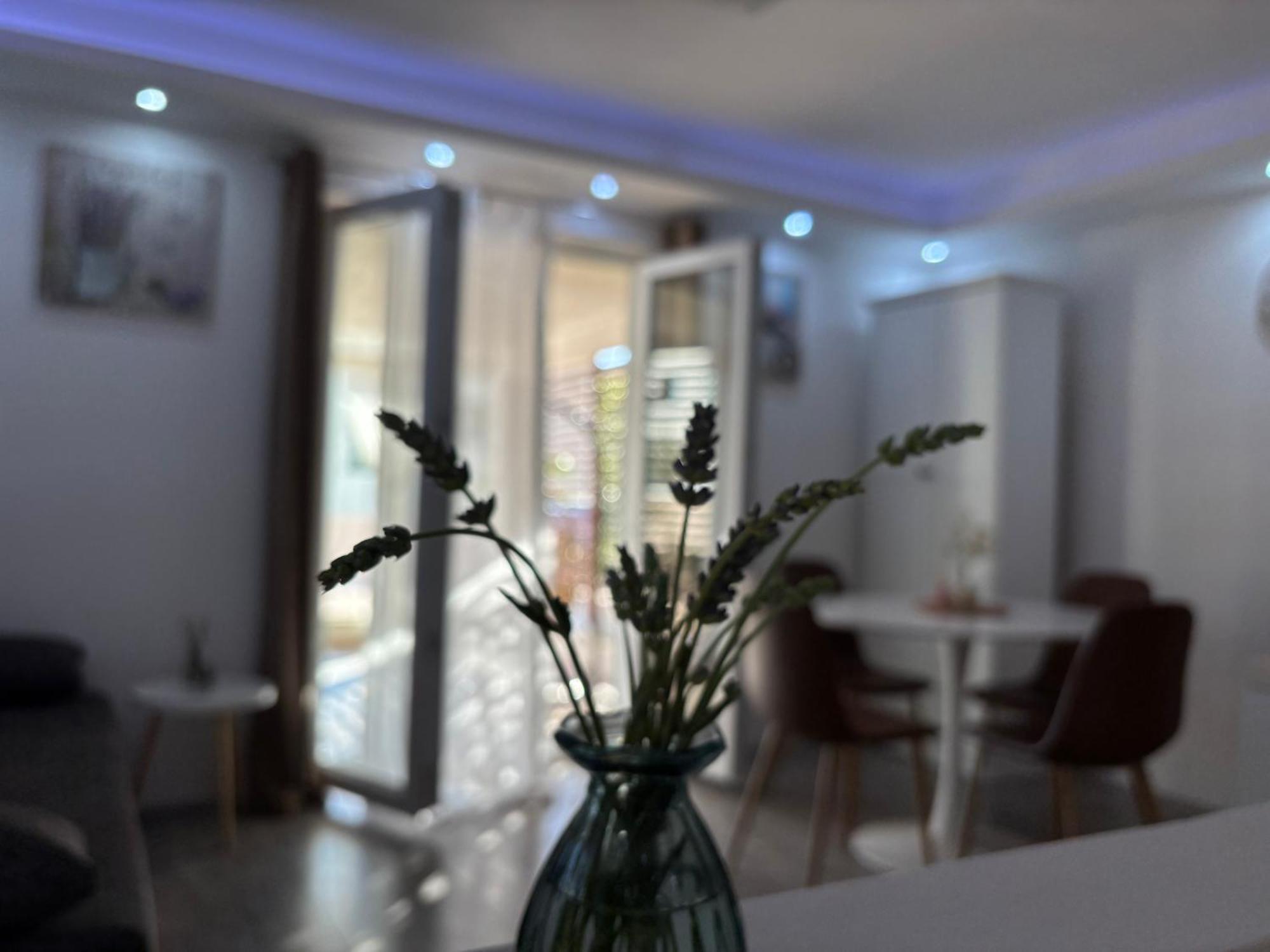 Luxury Apartman Nr Šibenik Exteriör bild